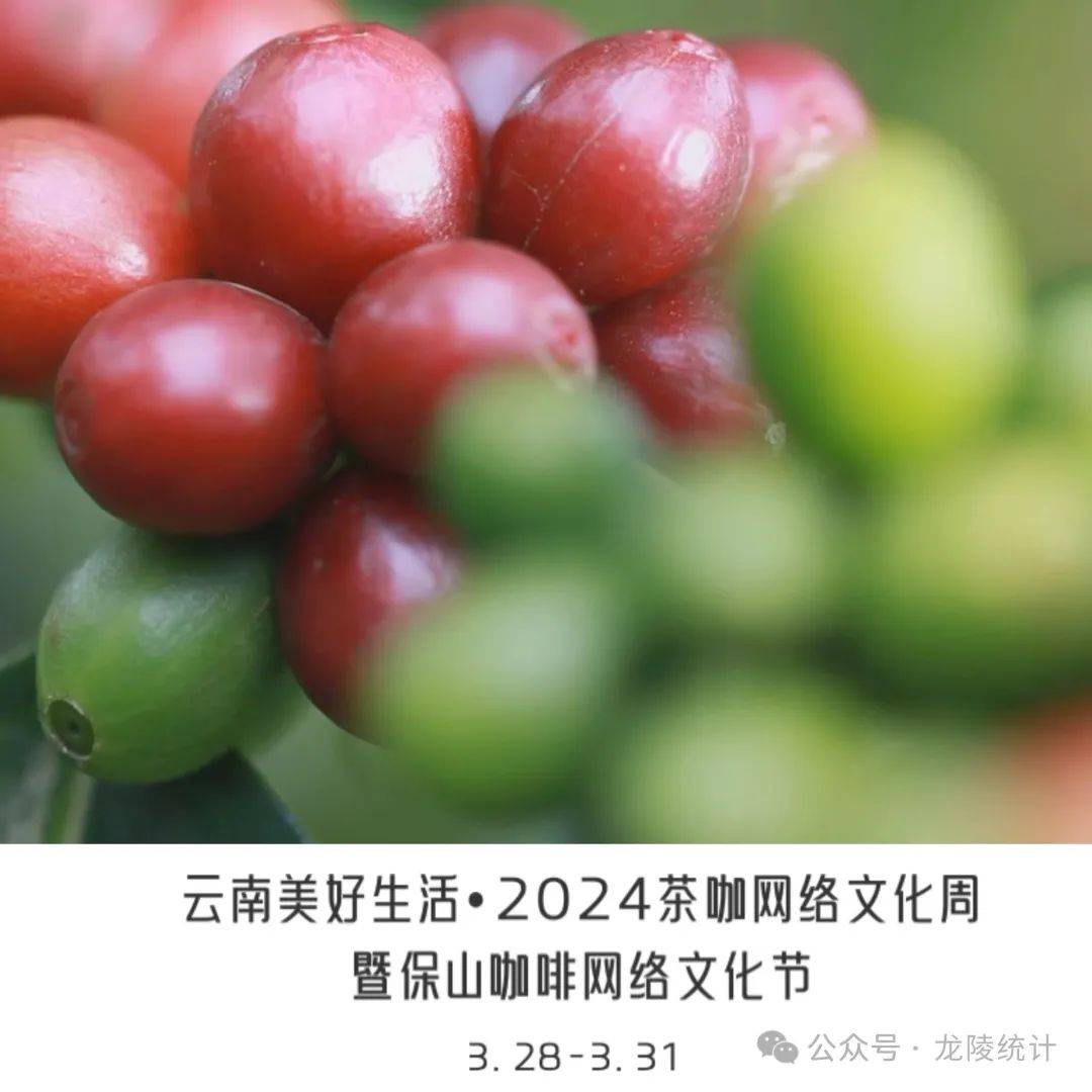 云南茶咖网络文化周来啦！manbetx万博一起回顾保山咖啡发展之路(图1)