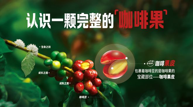 manbetx万博雀巢咖啡提醒每一天 “果然轻咖”开启咖啡全新赛道(图1)